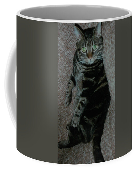 Colette Coffee Mug featuring the photograph Are you talking to me Dimitri Cat ask Me by Colette V Hera Guggenheim