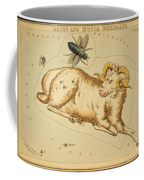 Aries Coffee Mug featuring the photograph Aries Constellation Zodiac Sign 1825 by Science Source