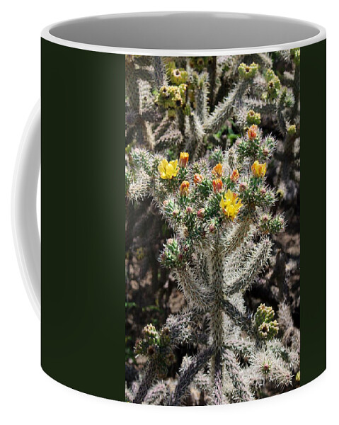 Blooming Cactus Coffee Mug featuring the photograph Arizona Cactus by Suzanne Lorenz