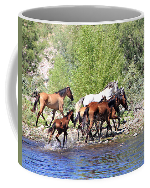  Coffee Mug featuring the photograph Arizona Wild Horse Family by Matalyn Gardner
