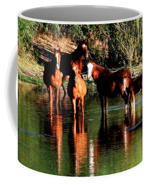 Wild Horses Coffee Mug featuring the photograph Arizona Wild Horses by Matalyn Gardner