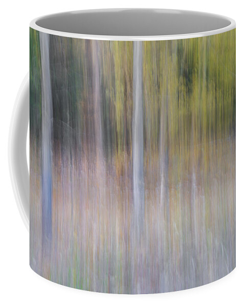 Tree Coffee Mug featuring the photograph Artistic Birch Trees by Larry Marshall