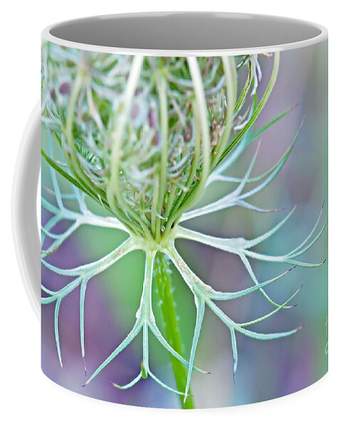 Wildflower Photography Coffee Mug featuring the photograph Artsy Pastal Wildflower by Gwen Gibson