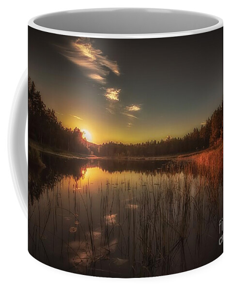 Sunset Coffee Mug featuring the photograph As in a Dream by Rose-Maries Pictures