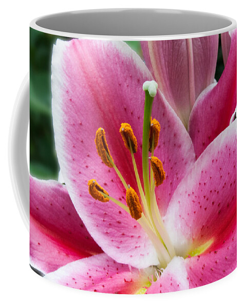 Asian Coffee Mug featuring the photograph Asian Lily by Michael Porchik