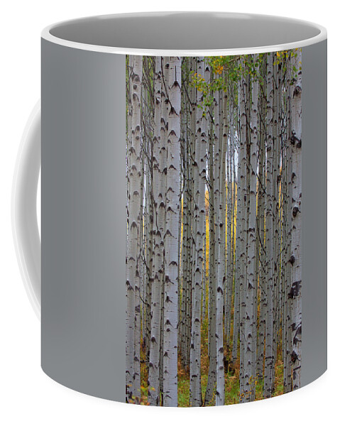 Aspen Bole Photograph Coffee Mug featuring the photograph Aspen Boles #2 by Jim Garrison