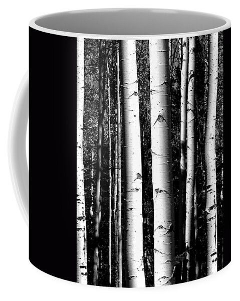 Black And White Coffee Mug featuring the photograph Aspens by JustJeffAz Photography