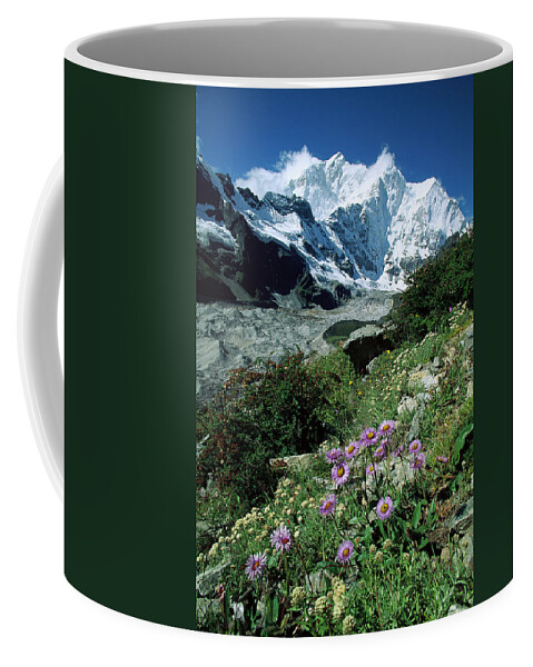 00260106 Coffee Mug featuring the photograph Aster Daisies at Mt. Chomolonzo by Colin Monteath