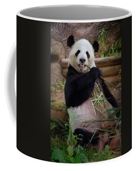 Joan Carroll Coffee Mug featuring the photograph Atlanta Panda by Joan Carroll