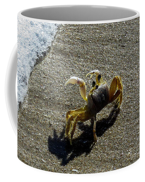 Sand Crab Coffee Mug featuring the photograph Atlantic ghost crab by Zina Stromberg