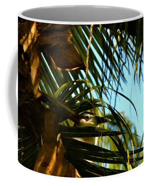 Bird Coffee Mug featuring the photograph Auku'u Hawaiian Night Heron by Lehua Pekelo-Stearns