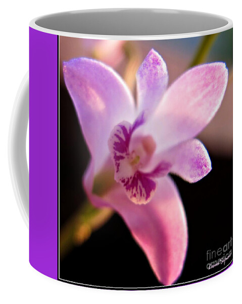 Bush Coffee Mug featuring the photograph Australian Bush Orchid - Within Border by Leanne Seymour