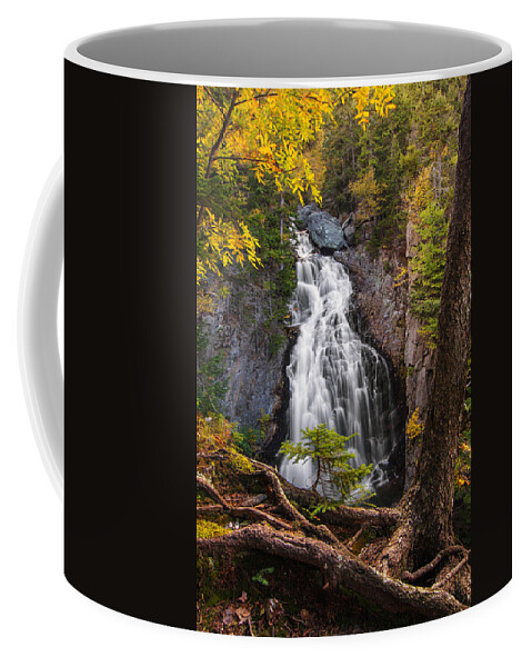 Autumn Coffee Mug featuring the photograph Autumn at Crystal Cascade by White Mountain Images