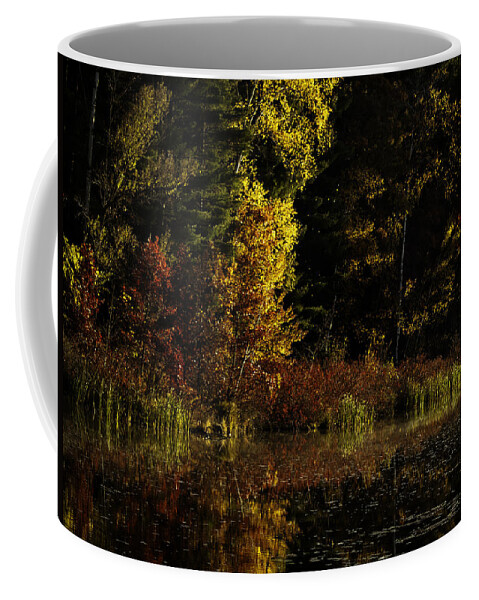 Autumn Coffee Mug featuring the photograph Autumn At It's Finest by Thomas Young