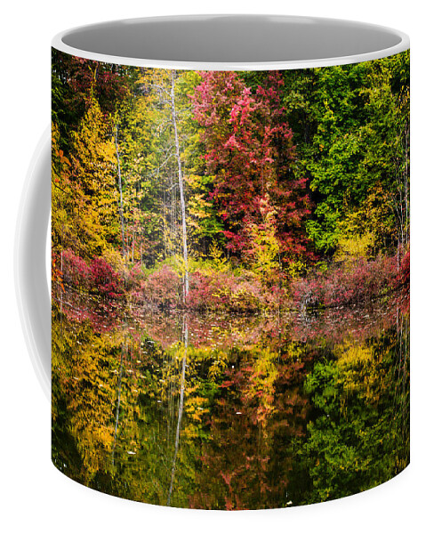 Mendon Ponds Park Coffee Mug featuring the photograph Autumn at Mendon Ponds by Sara Frank