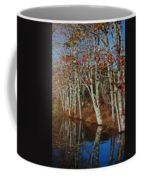 Autumn Coffee Mug featuring the photograph Autumn Blue by Karol Livote