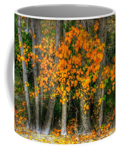 Colourful Coffee Mug featuring the photograph Autumn breakout no.2 by Jenny Setchell