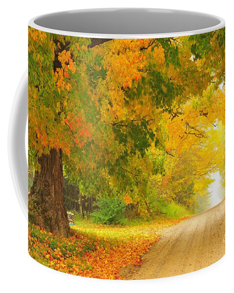 Autumn Coffee Mug featuring the photograph Autumn Cascade by Terri Gostola