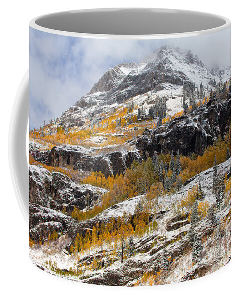 Winter Coffee Mug featuring the photograph Autumn Clearing by Darren White