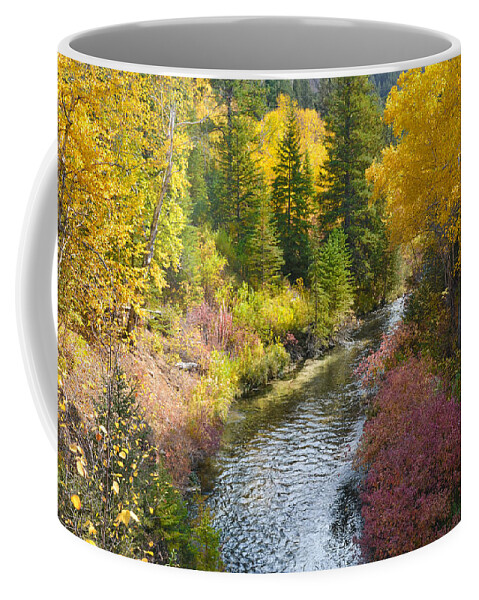 Dakota Coffee Mug featuring the photograph Autumn Color Along Spearfish Creek by Greni Graph