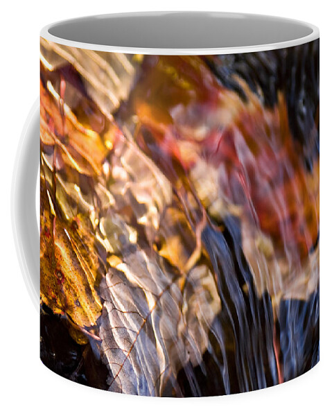 Fall Leaves Coffee Mug featuring the photograph Autumn Color Beneath the Surface by John Magyar Photography
