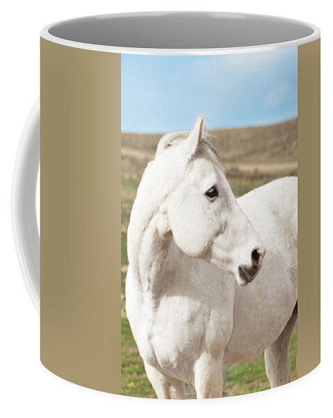 White Coffee Mug featuring the photograph Autumn Comes Early by Amanda Smith