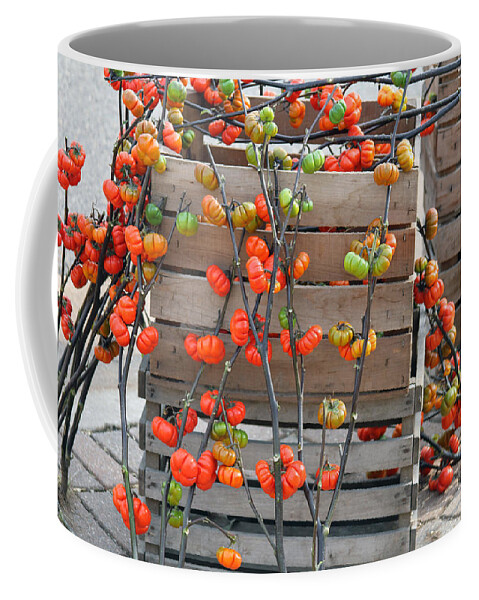 Tomato Coffee Mug featuring the photograph Autumn Decorations by Jackson Pearson