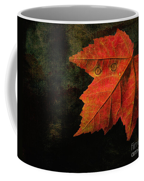 Leaf Coffee Mug featuring the photograph Autumn Eyes by Kathi Mirto