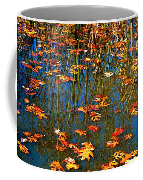 Autumn Coffee Mug featuring the photograph Autumn Floating by Peggy Franz