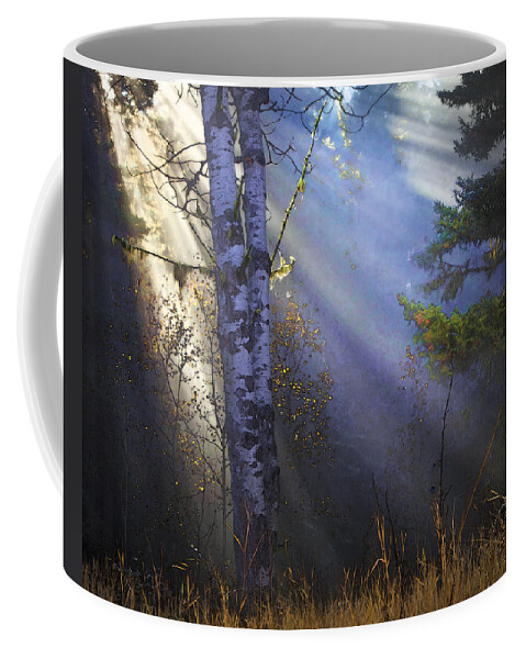 Fantasy Forest Coffee Mug featuring the photograph Autumn Fog With Sun Rays by Theresa Tahara