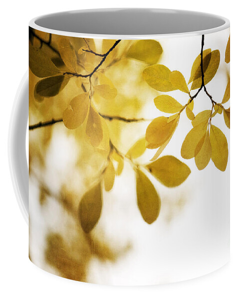 Leaf Coffee Mug featuring the photograph Autumn Gold by Priska Wettstein