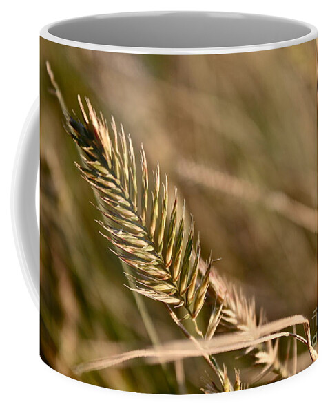 Grass Coffee Mug featuring the photograph Autumn Grasses by Linda Bianic