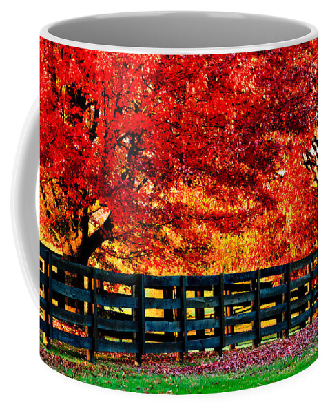 Kentucky Coffee Mug featuring the photograph Autumn Kentucky Maples by Ben Graham
