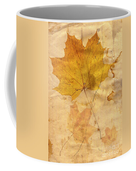 Detail Coffee Mug featuring the digital art Autumn Leaf In Grunge Style by Michal Boubin