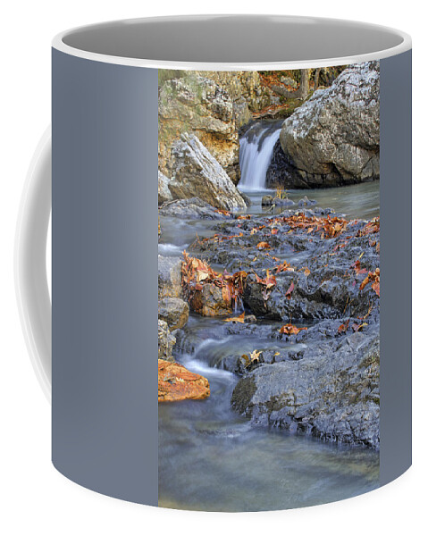 Arkansas Coffee Mug featuring the photograph Autumn Leaves at Little Missouri Falls - Arkansas - Waterfall by Jason Politte