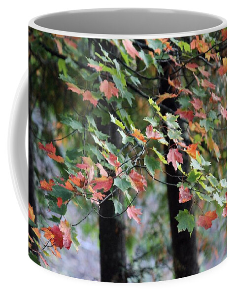 Leaves Coffee Mug featuring the photograph Autumn Leaves by Jackson Pearson