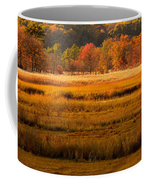 Cheesequake Coffee Mug featuring the photograph Autumn Marsh by Raymond Salani III