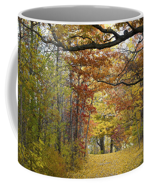 Autumn Coffee Mug featuring the photograph Autumn Nature Trail by Lynn Hansen