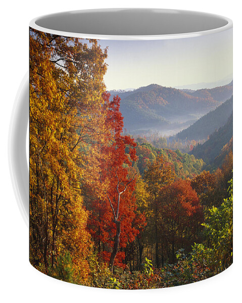 Feb0514 Coffee Mug featuring the photograph Autumn On Blue Ridge Range Near Jumping by Tim Fitzharris