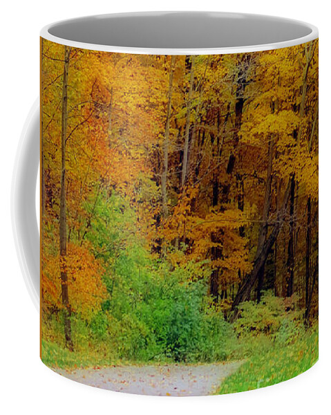 Autumn Coffee Mug featuring the photograph Autumn Peak Colors by Kay Novy