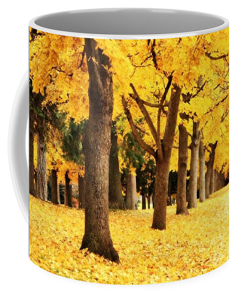 Carol Groenen Coffee Mug featuring the photograph Autumn Perspective by Carol Groenen