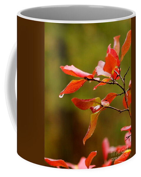 Autumn Coffee Mug featuring the photograph Autumn Raindrop by Rod Best
