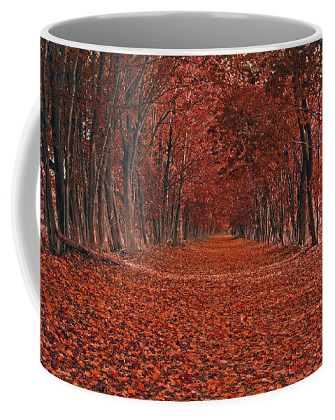 Autumn Coffee Mug featuring the photograph Autumn by Raymond Salani III