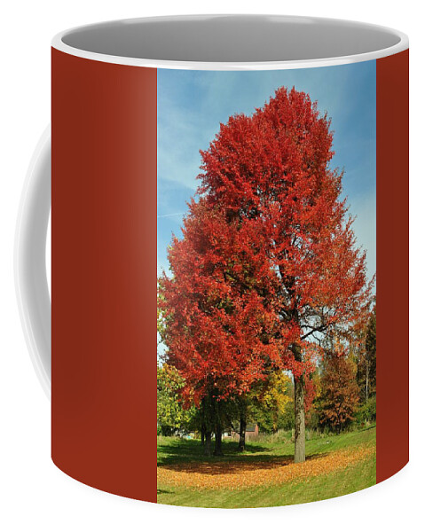 Autumn Coffee Mug featuring the photograph Autumn Red by Frozen in Time Fine Art Photography