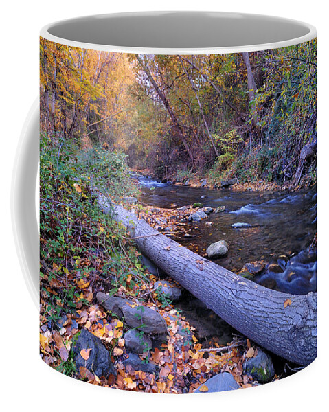 River Coffee Mug featuring the photograph Genil river #2 by Guido Montanes Castillo