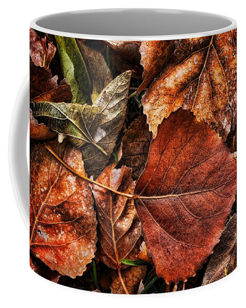 Autumn Coffee Mug featuring the photograph Autumn Rust by Steve Sullivan