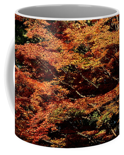 Nature Coffee Mug featuring the digital art Autumn Solarisation 1 by Rudi Prott