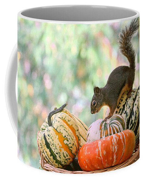 Autumn Coffee Mug featuring the photograph Autumn Still Life with Squirrel by Peggy Collins