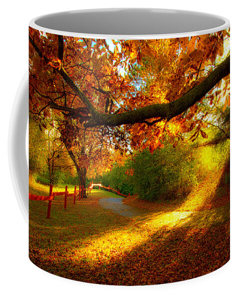Horizons Coffee Mug featuring the photograph Autumn Stroll by Phil Koch