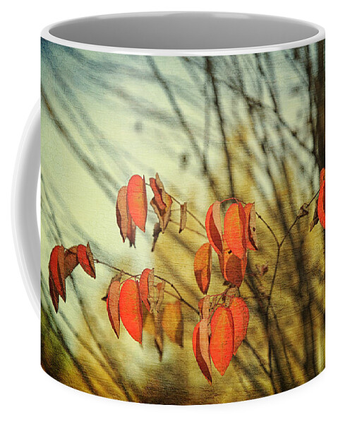 Autumn Coffee Mug featuring the photograph Autumn by Theresa Tahara